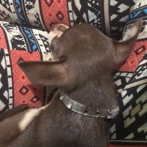 Meet your Posher, Kaitlyn